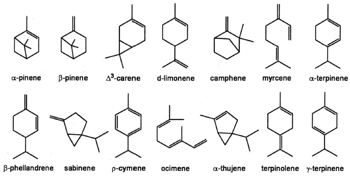 image1 (1)